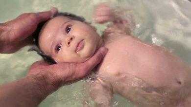 العلماء يتمكنون من تطوير مشيمة عاملة خارج الرحم للمرة الأولى