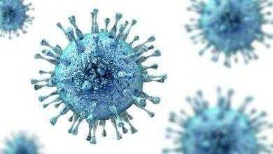 الموافقة على أول اختبار للمساعدة في تشخيص الفيروس المضخم للخلايا في حديثي الولادة