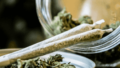 دراسة: تدخين الحشيش مرة واحدة فقط في سن المراهقة كافي لتغيير بنية الدماغ