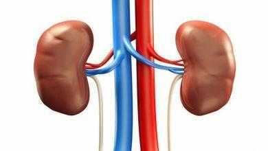 دراسة: انخفاض مستويات الزنك قد يلعب دورًا في ارتفاع ضغط الدم