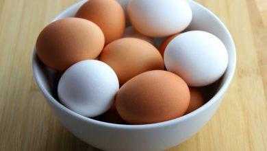 دجاج معدل جينيًا لوضع بيض يحتوي على مضادات للسرطان
