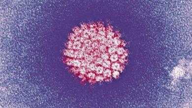 علماء يتوقعون إمكانية القضاء على سرطان عنق الرحم بنهاية القرن الحالي