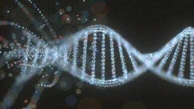 العلاج بالخلايا الجذعية يترك مريضًا بفيروس نقص المناعة البشرية معافى تمامًا