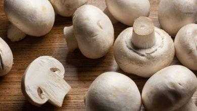 تناول عيش الغراب قد يقلل من خطر التدهور المعرفي