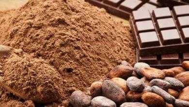 مشروب الكاكاو قد يساعد في التخلص من التعب المرتبط بالتصلب المتعدد