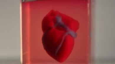 لأول مرة...طباعة قلب ثلاثي الأبعاد باستخدام أنسجة بشرية