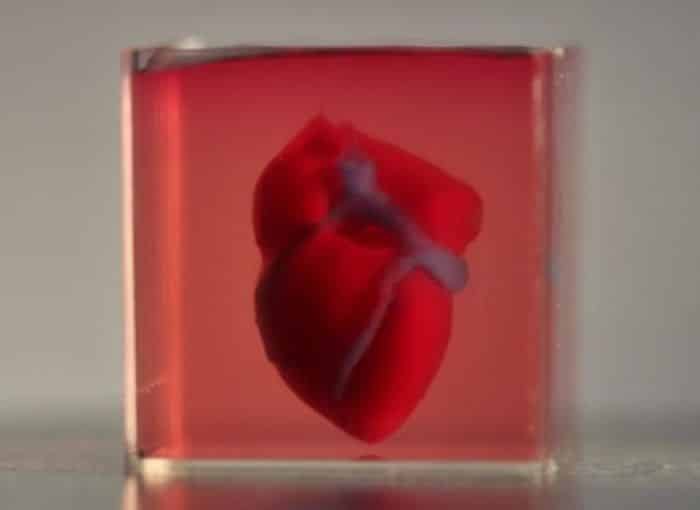 طباعة قلب ثلاثي الأبعاد باستخدام أنسجة بشرية