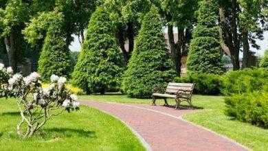 20 دقيقة من التواصل مع الطبيعة كافية لخفض مستويات هرمون التوتر