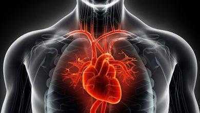 قصور عضلة القلب يتسبب في تزايد الوفيات بين البالغين الأصغر سنًا