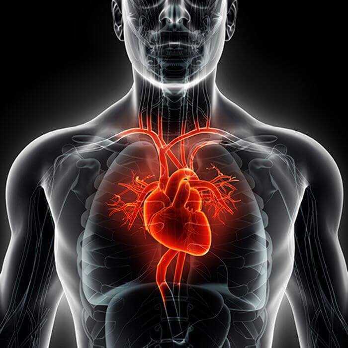 قصور عضلة القلب يتسبب في تزايد الوفيات