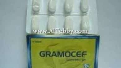 جراموسيف Gramocef