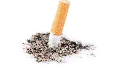 منظمة الصحة العالمية تُصرح: التدخين يقتل 8 ملايين شخص سنويًا !