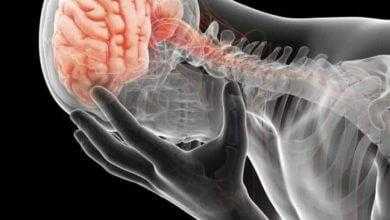 دراسة: زرع بكتيريا الأمعاء يُغير من السلوكيات المرتبطة بالاكتئاب