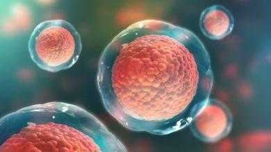 علماء ينجحون في استخدام الخلايا الجذعية لاستعادة الحركة في أحد المصابين بالشلل