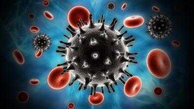 القضاء على فيروس نقص المناعة البشرية من جينوم الحيوانات الحية لأول مرة