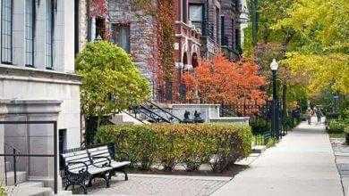 دراسة: سكان المنازل المُحاطة بالمساحات الخضراء يتمتعون بصحة أفضل