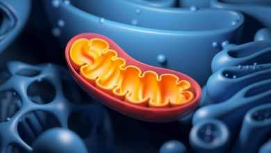 تطور مرض ألزهايمر