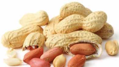 العلاج المناعي ضد حساسية الفول السواداني