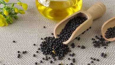 زيت بذور اللفت