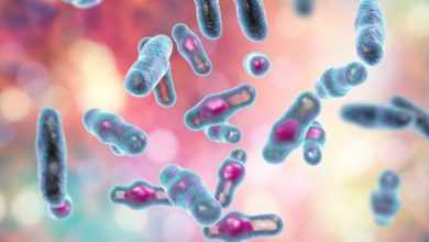 حقن البكتيريا الموهَنة