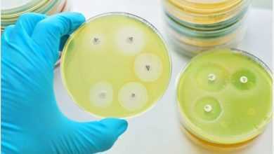 فئة جديدة من المضادات الحيوية