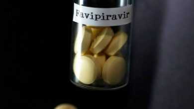 عقار فافيلافير