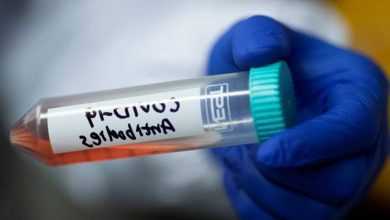 الأجسام المضادة لفيروس كورونا