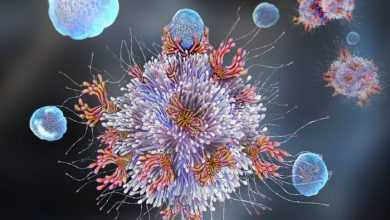 تعافى من فيروس كورونا