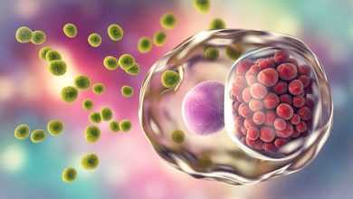 فيروس كورونا