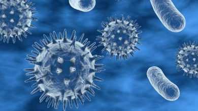 الجهاز المناعي لعدوى فيروس كورونا