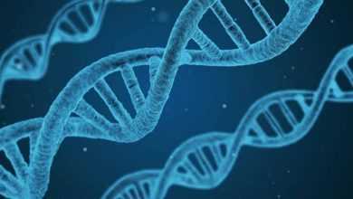 كورونا المُستجد