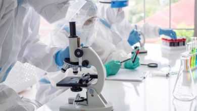 لفيروس كورونا من خلايا الحشرات