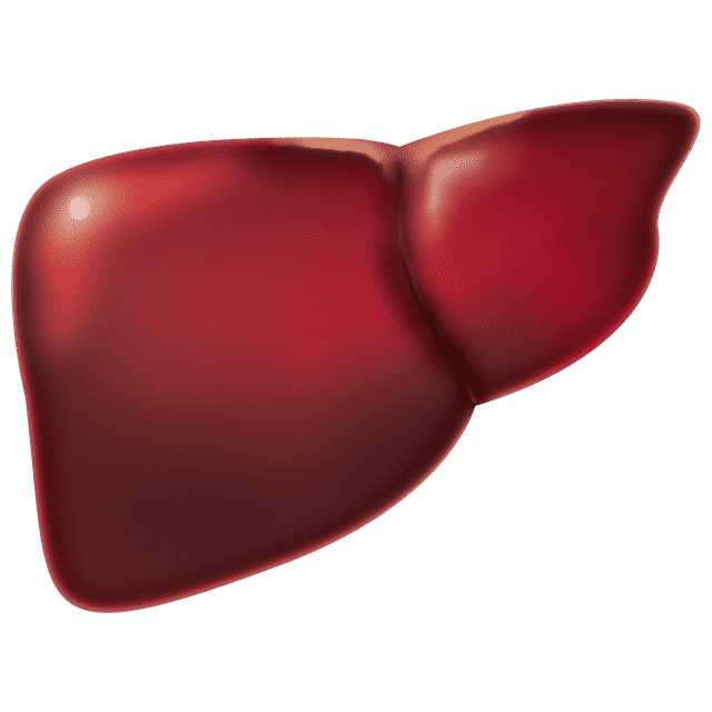 اعراض مشاكل الكبد|علامات تحذيرية يرسلها الجسم