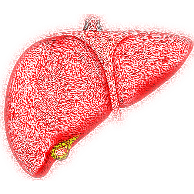 كيف يمكن الشفاء من الكبد الدهني