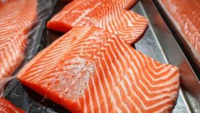 فيروس كورونا يظل حيًا على سطح أسماك السالمون