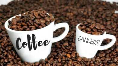 معدلات البقاء على قيد الحياة