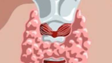 أفضل أطباء الغدد الصماء بالجيزة