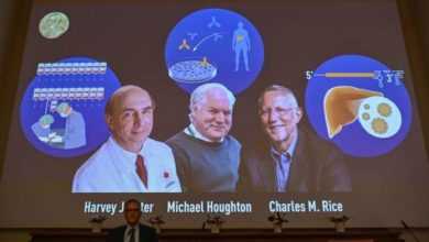 فيروس الالتهاب الكبدي الوبائي (سي)