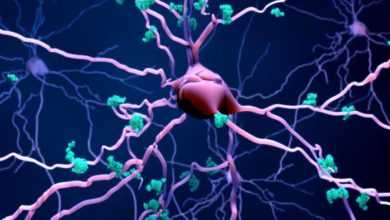 يمكنه غزو خلايا المخ