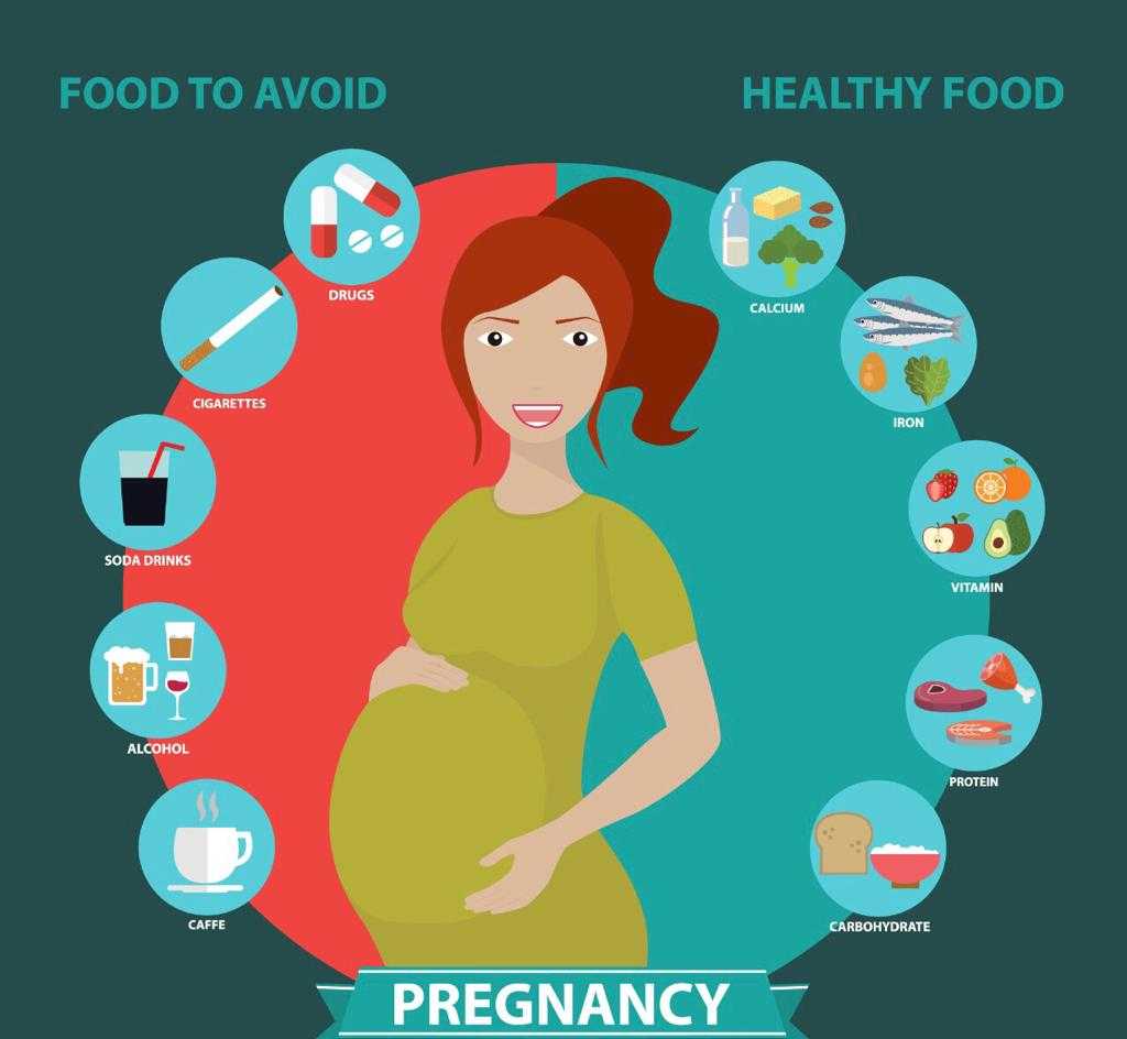 جدول تغذية الحامل في الشهور الأولى .. الأكل الممنوع والمسموح به للحامل