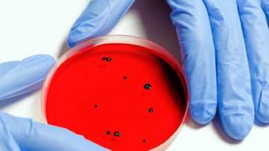 سلالة جديدة من كورونا في مصر .. هل انتقل السلالة الهندية إلى مصر