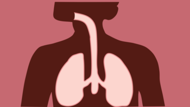 أطباء الصدر بالإسكندرية