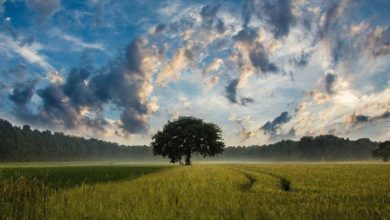 قضاء المزيد من الوقت في المسطحات الخضراء