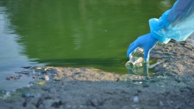 بقايا المضادات الحيوية