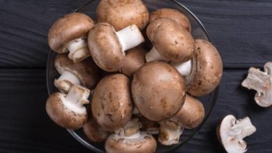 فطر عيش الغراب يمكن أن يعزز الذاكرة