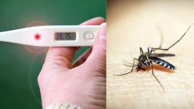 علاج حمى الضنك بالأكل