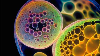 Crohn's disease treatment