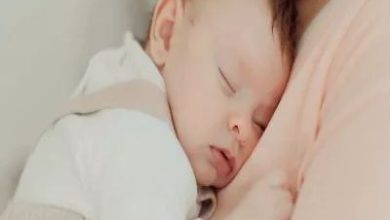 بروتينات حليب الثدي