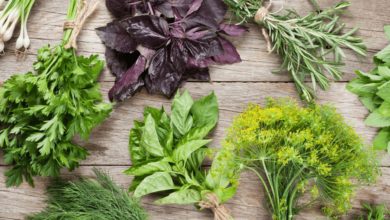 علاج زيادة الأملاح في الجسم بالأعشاب