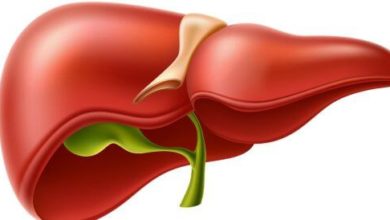 استعادة صحة الكبد